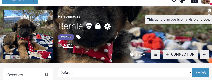 gallery header visibility